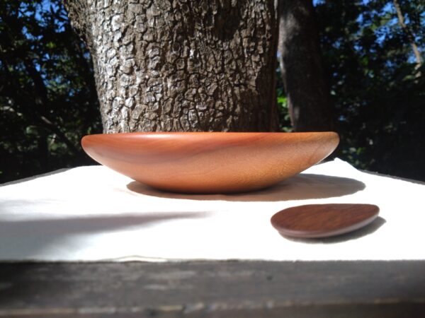 Tamana Bowl&Piece of wood No.547