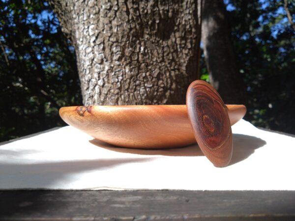 Tamana Bowl&Piece of wood No.547