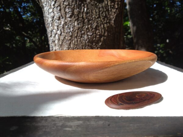 Tamana Bowl&Piece of wood No.547