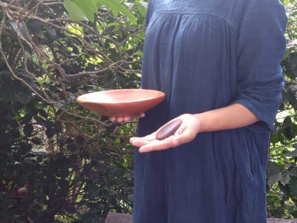 Tamana Bowl&Piece of wood No.547