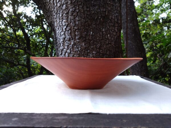 Tamana Bowl  No.562