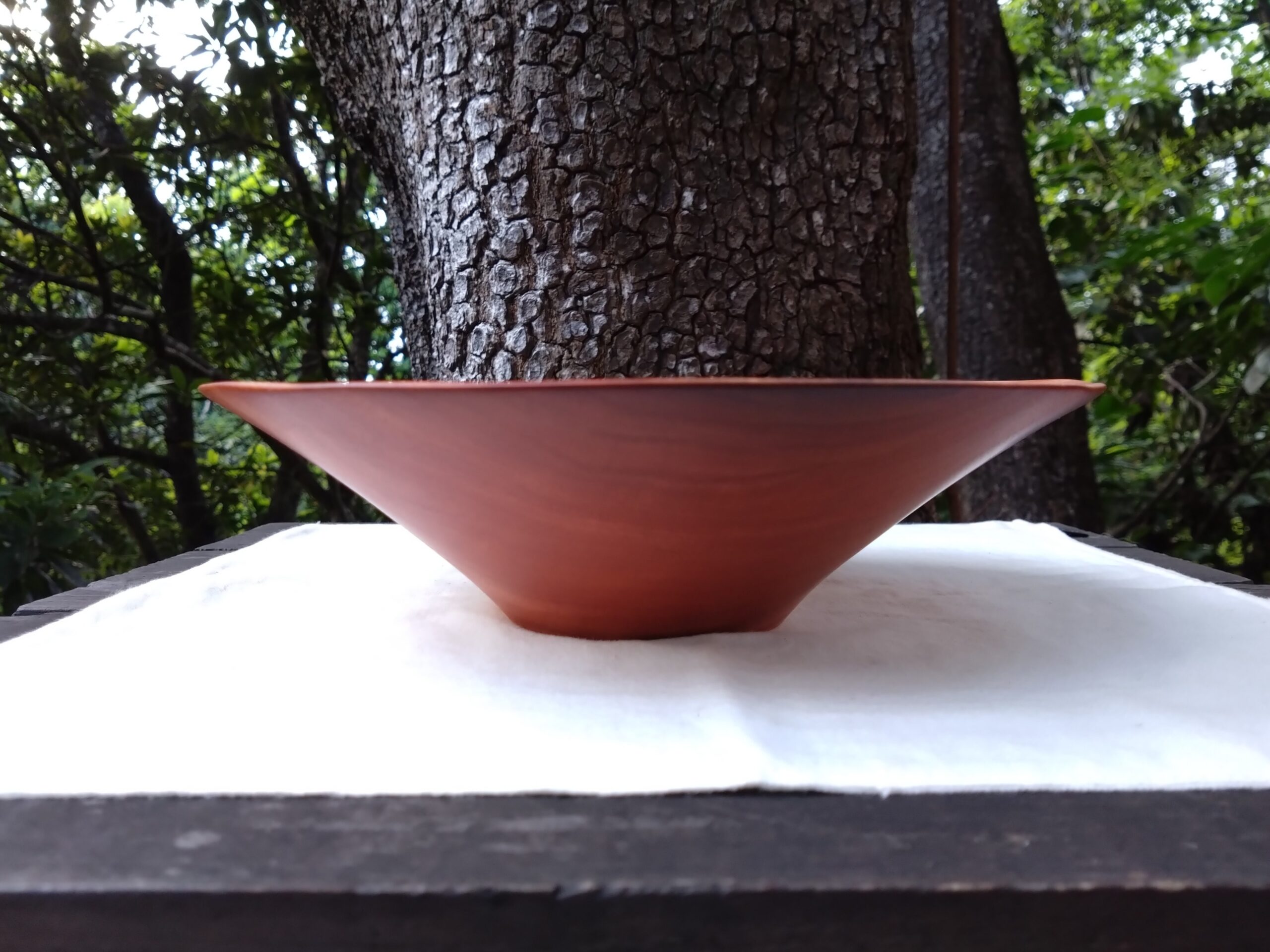 Tamana Bowl  No.562