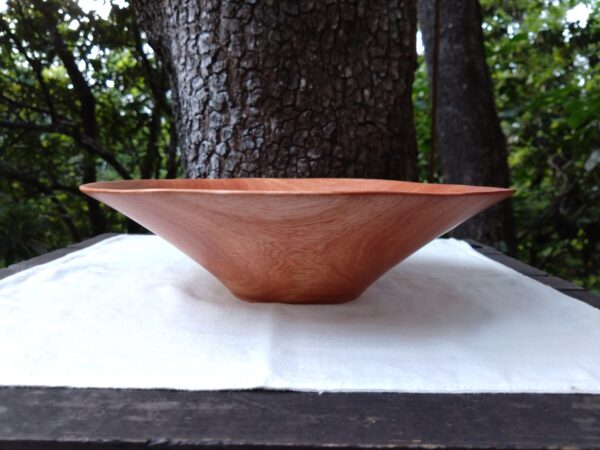 Tamana Bowl  No.562