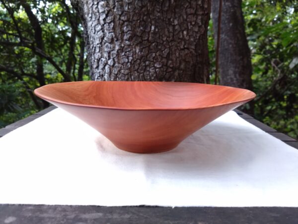Tamana Bowl  No.562