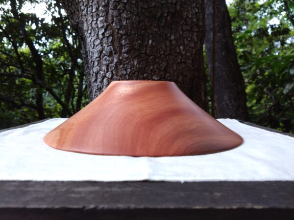 Tamana Bowl  No.562