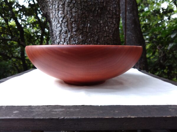Tamana Bowl  No.563