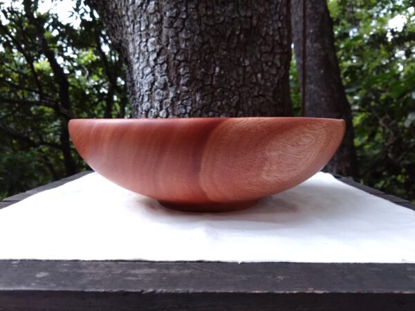 Tamana Bowl  No.563