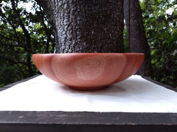 Tamana Bowl  No.563