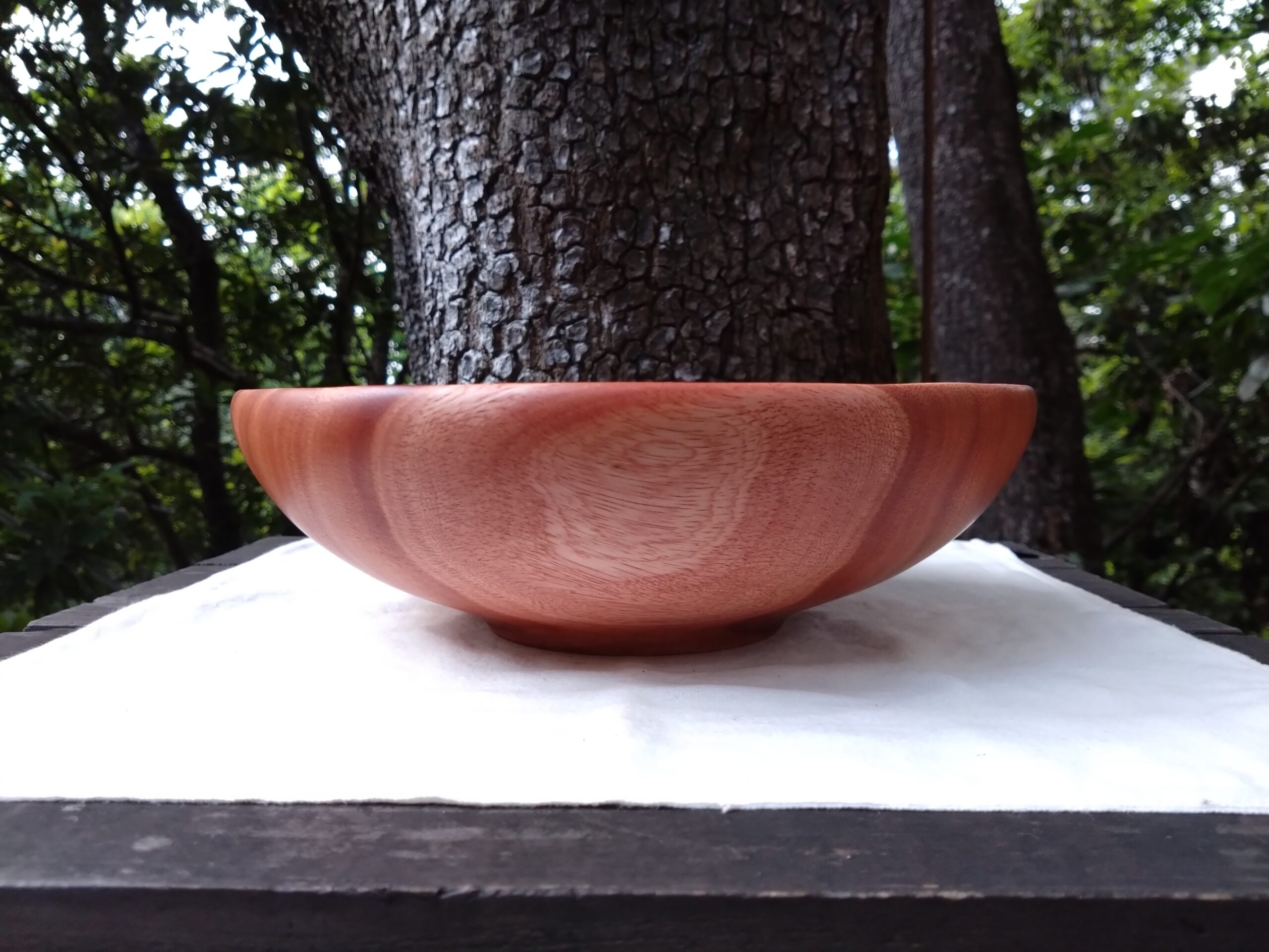 Tamana Bowl  No.563