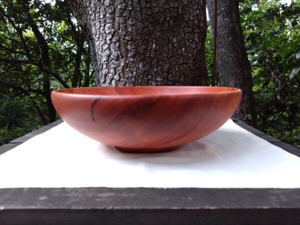 Tamana Bowl  No.563