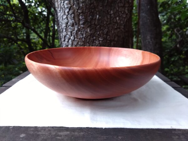 Tamana Bowl  No.563