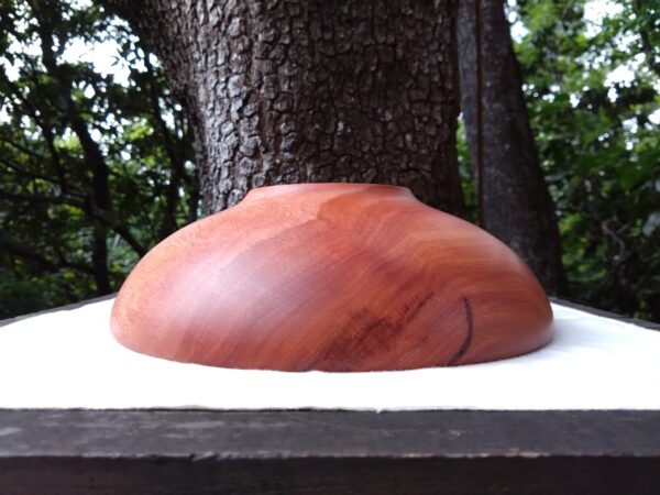 Tamana Bowl  No.563