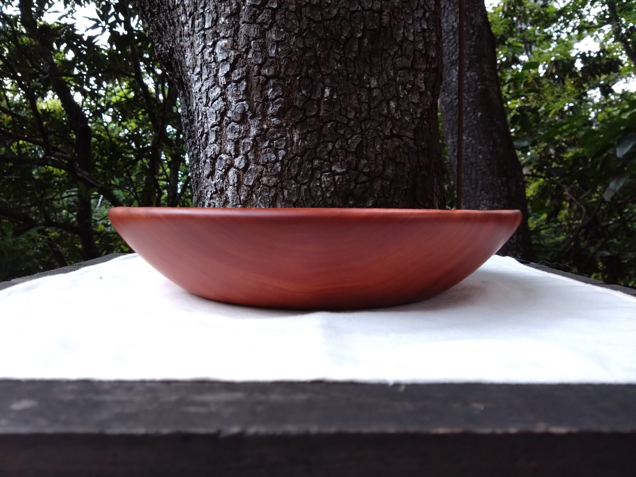 Tamana Bowl  No.564