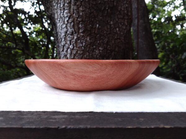 Tamana Bowl  No.564