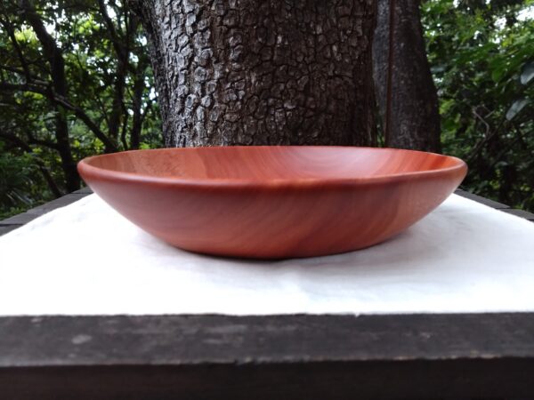 Tamana Bowl  No.564