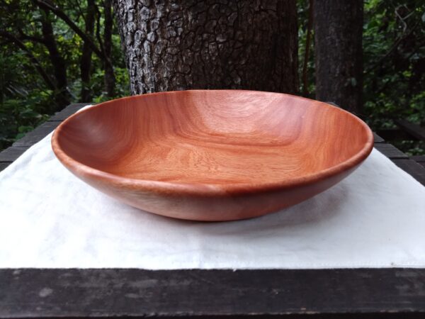 Tamana Bowl  No.564