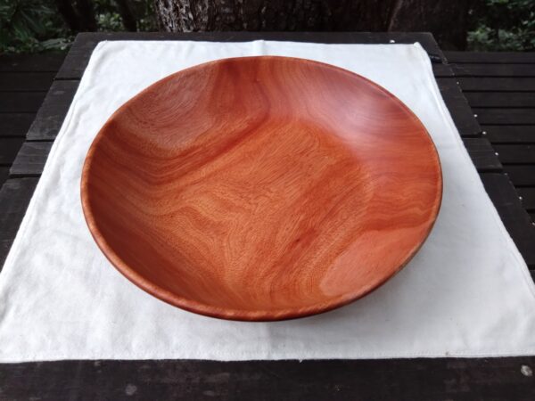 Tamana Bowl  No.564