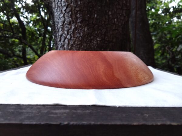 Tamana Bowl  No.564