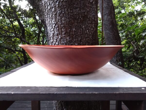 Tamana Bowl  No.565