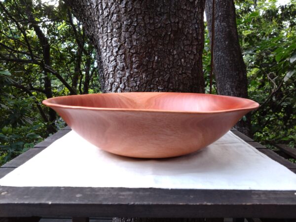 Tamana Bowl  No.565