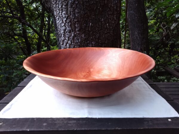 Tamana Bowl  No.565
