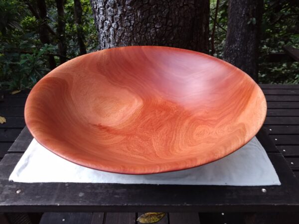 Tamana Bowl  No.565