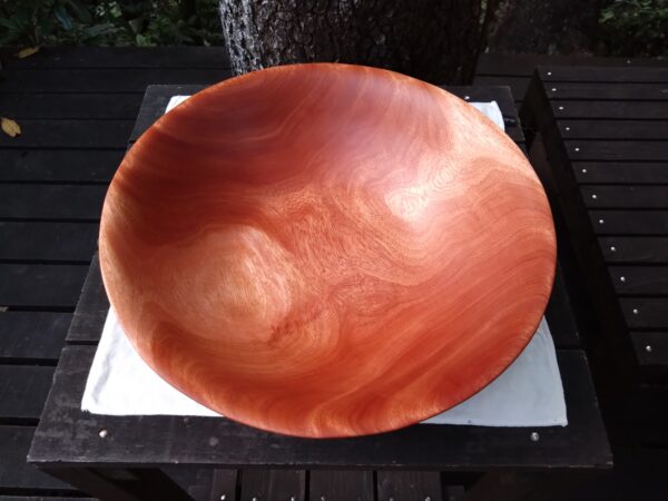 Tamana Bowl  No.565