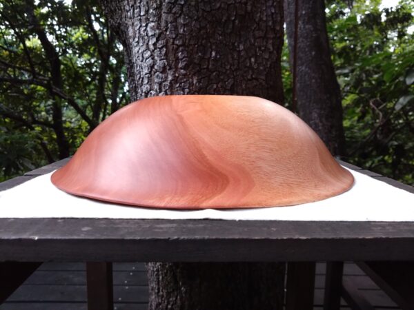 Tamana Bowl  No.565