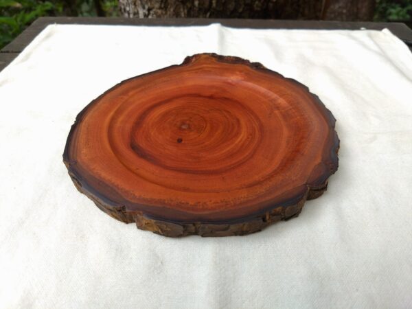 Tamana Accessory Tray No.568