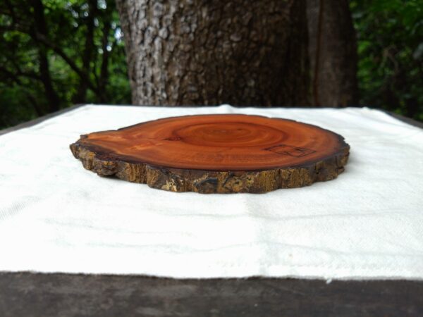 Tamana Accessory Tray No.568