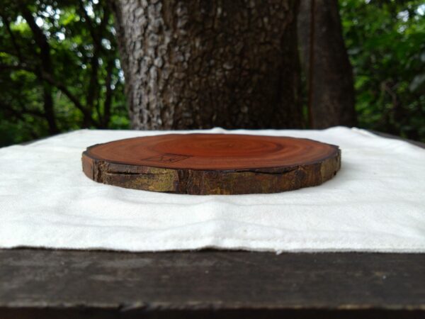 Tamana Accessory Tray No.569